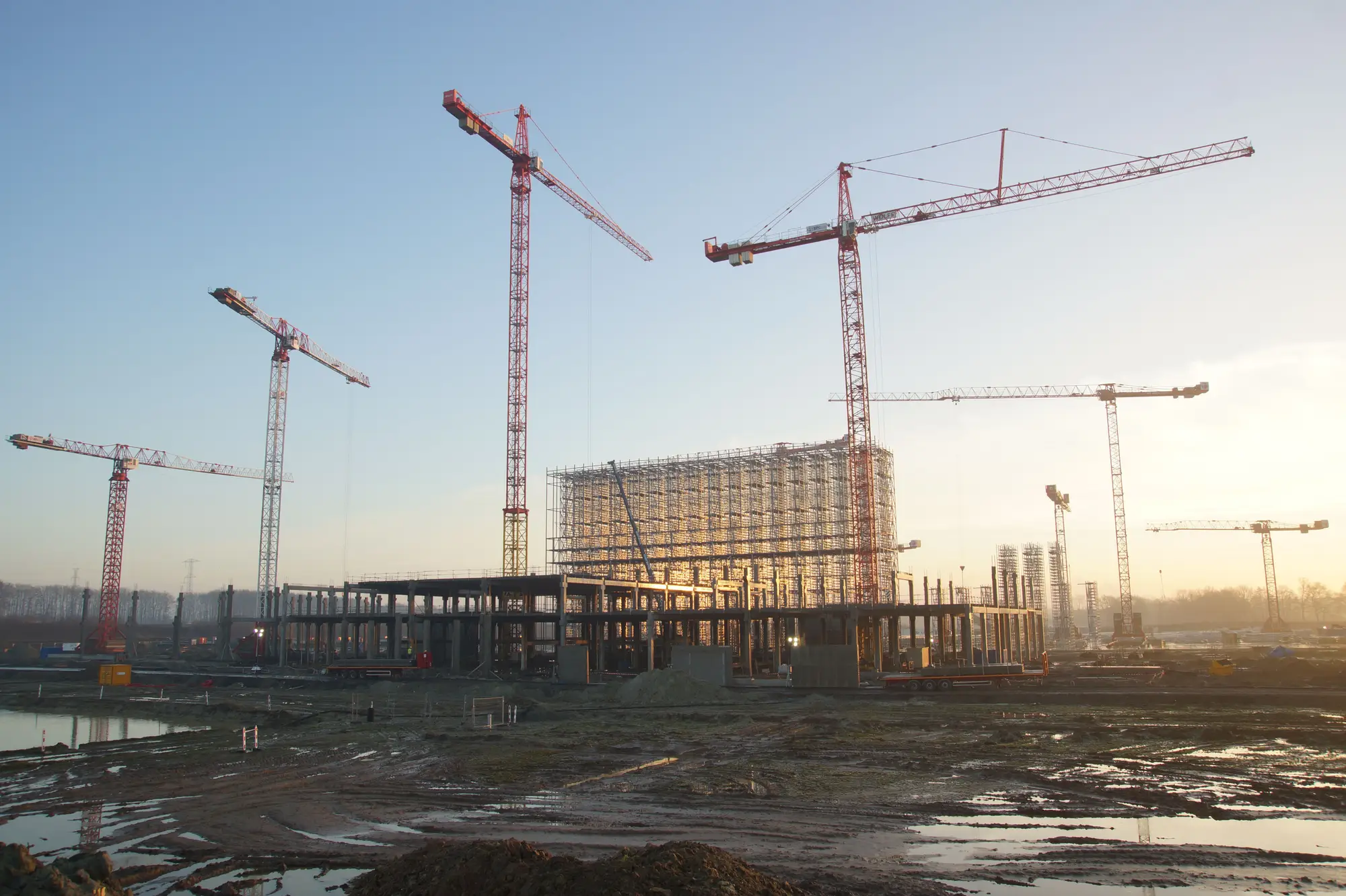 Tower cranes over a concrete frame going up on a flat, muddy commercial site at first light